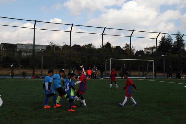 欧洲足坛夏窗转会：利物浦3500万欧签下莱昂尼